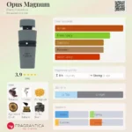 Opus Magnum French Avenue - Imagem 4